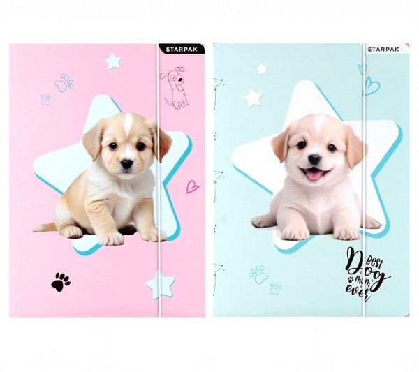 Teczka z gumką A4 Doggy 559706 STARPAK